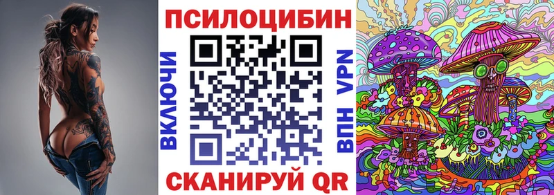 Псилоцибиновые грибы GOLDEN TEACHER  мега ТОР  Буйнакск  цены  